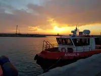 Bateaux de travail à vendre