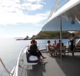Catamaran à vendre