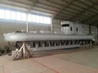 Bateau de tourisme à vendre