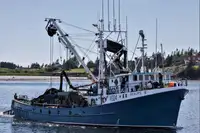 Chalutier à senne à vendre