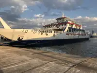 Ro-Ro ship à vendre