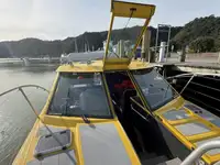 Navire de croisière à vendre