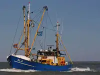 Chalutier à vendre