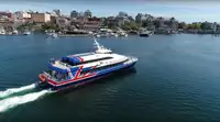 Catamaran à vendre