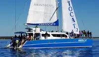 Catamaran à vendre