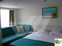 Navire de croisière à vendre