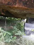 Péniche à vendre
