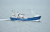 Chalutier à vendre