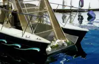 Bateaux de travail à vendre