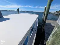 Navire mixte (croisière et transport de marchandises) à vendre