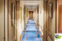 Navire de croisière à vendre