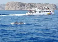 Navire à passagers à vendre