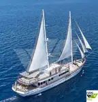 Navire de croisière à vendre