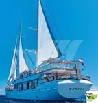 Navire de croisière à vendre
