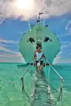 Navire de croisière à vendre