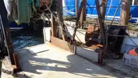 Chalutier à vendre