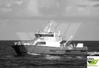 Catamaran à vendre