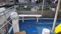 Catamaran à vendre