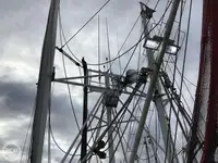 Chalutier à vendre