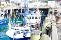 Navire transporteur de GNL à vendre