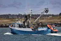 Chalutier à senne à vendre