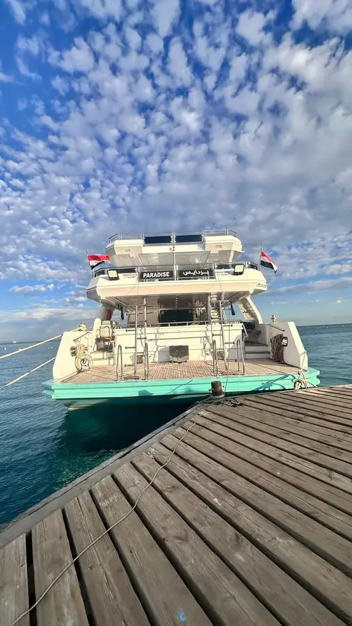 Navire de croisière à vendre