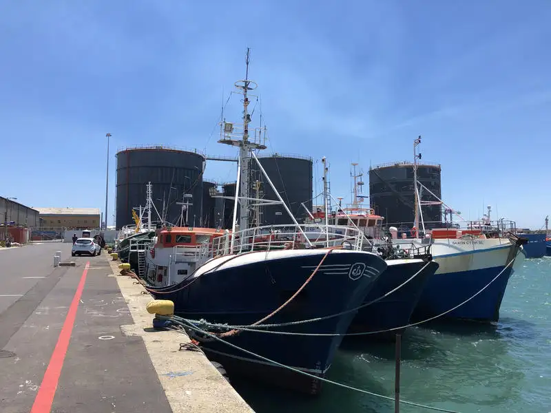 Palangrier à vendre