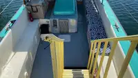 Navire de croisière à vendre
