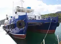 Catamaran à vendre