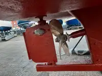 Cutter à vendre