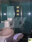 Navire de croisière à vendre