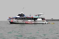 Catamaran à vendre