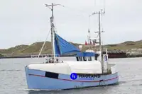 Palangrier à vendre