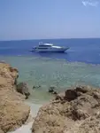 Support de plongée à vendre