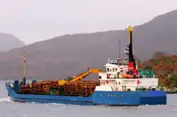 Transporteur de vrac à vendre