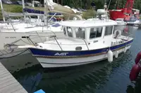 Bateaux de travail à vendre