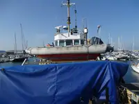 Bateaux de travail à vendre