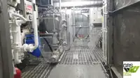 Navire de croisière à vendre