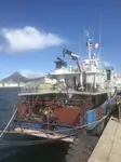 Navire frigorifique à vendre