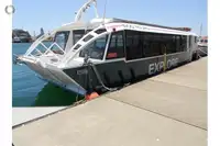 Catamaran à vendre