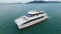 Catamaran à vendre