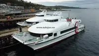 Catamaran à vendre