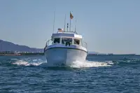 Navire-ferry à vendre