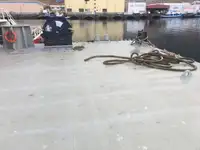 Ponton à vendre