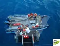 Navire de croisière à vendre
