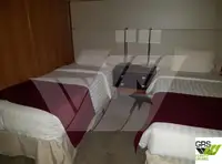 Navire de croisière à vendre