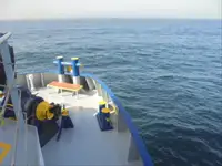 Navire frigorifique à vendre