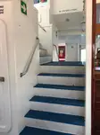 Catamaran à vendre