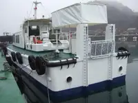 Bateau pilote à vendre