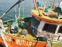 Bateaux de travail à vendre